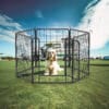 31.7"H 6 Panels Metal Dog Playpen