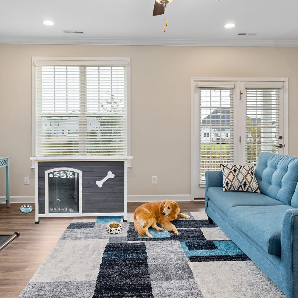 Large Wooden Dog House