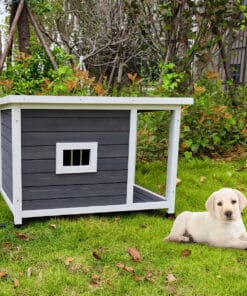 Outdoor Wooden Dog Kennel
