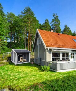 Outdoor Wooden Dog House