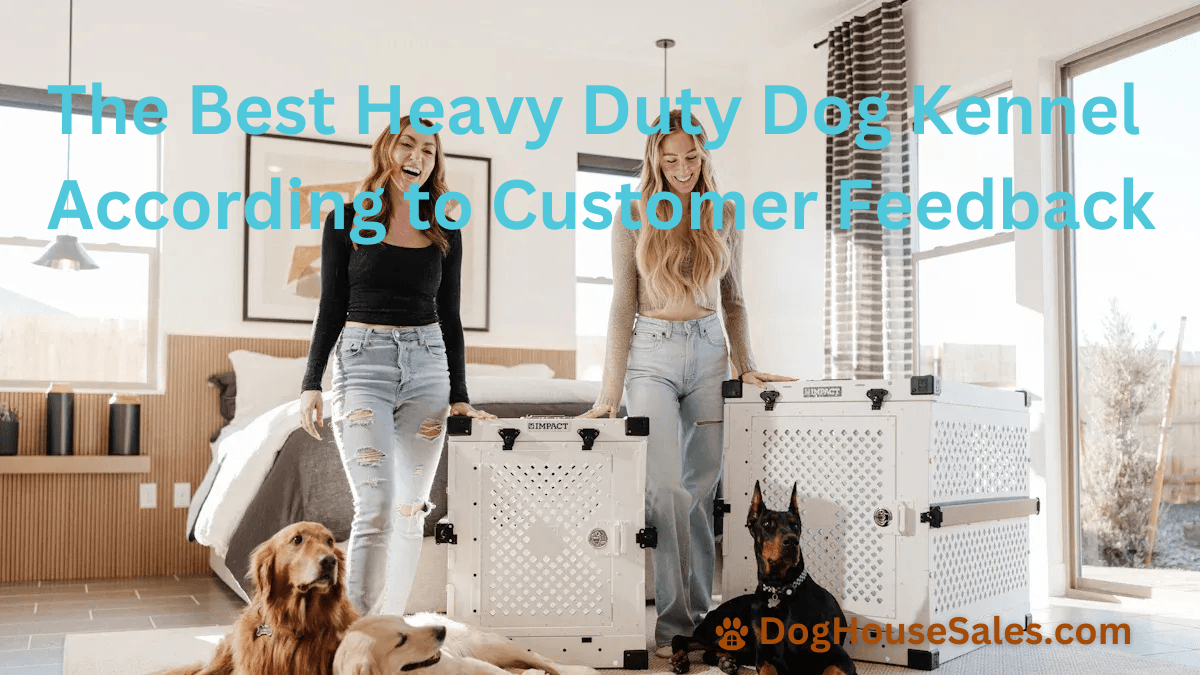 The Best Heavy Duty Dog Kennel According to Customer Feedback