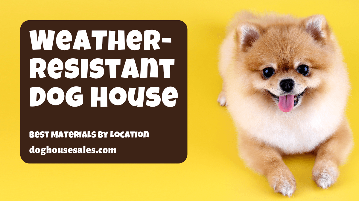Weather-Resistant Dog House: Best Materials by Location
