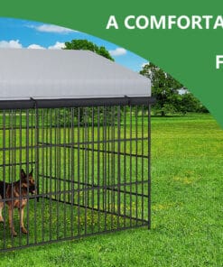 Large Outdoor Dog Kennel