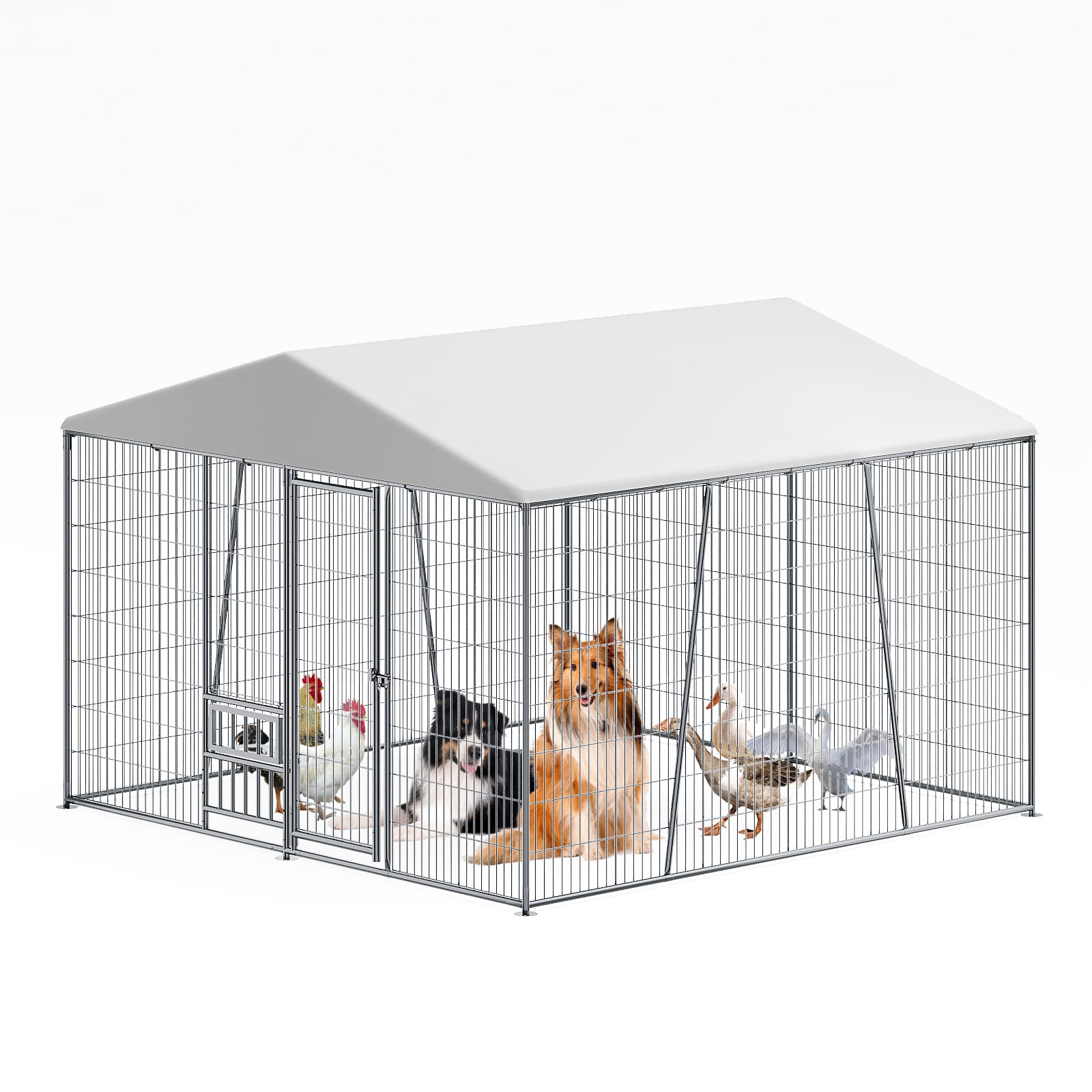 10*10FT Heavy-duty Outdoor Dog Kennel