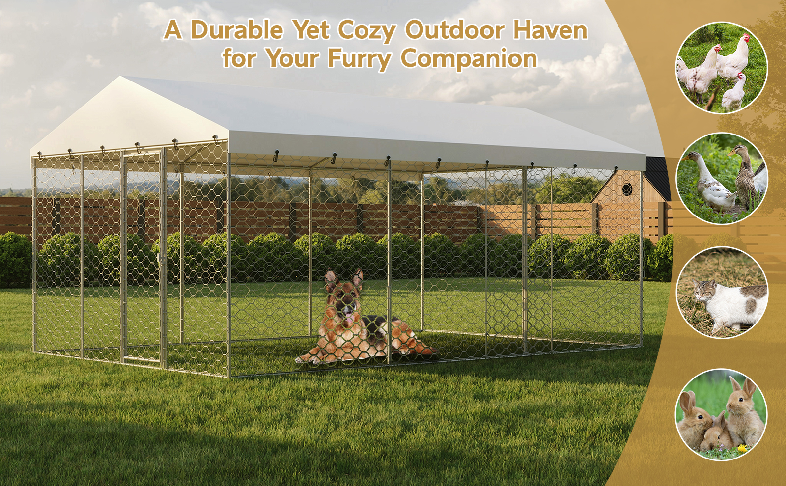 15x10 FT Large Outdoor Dog Kennel with Canopy