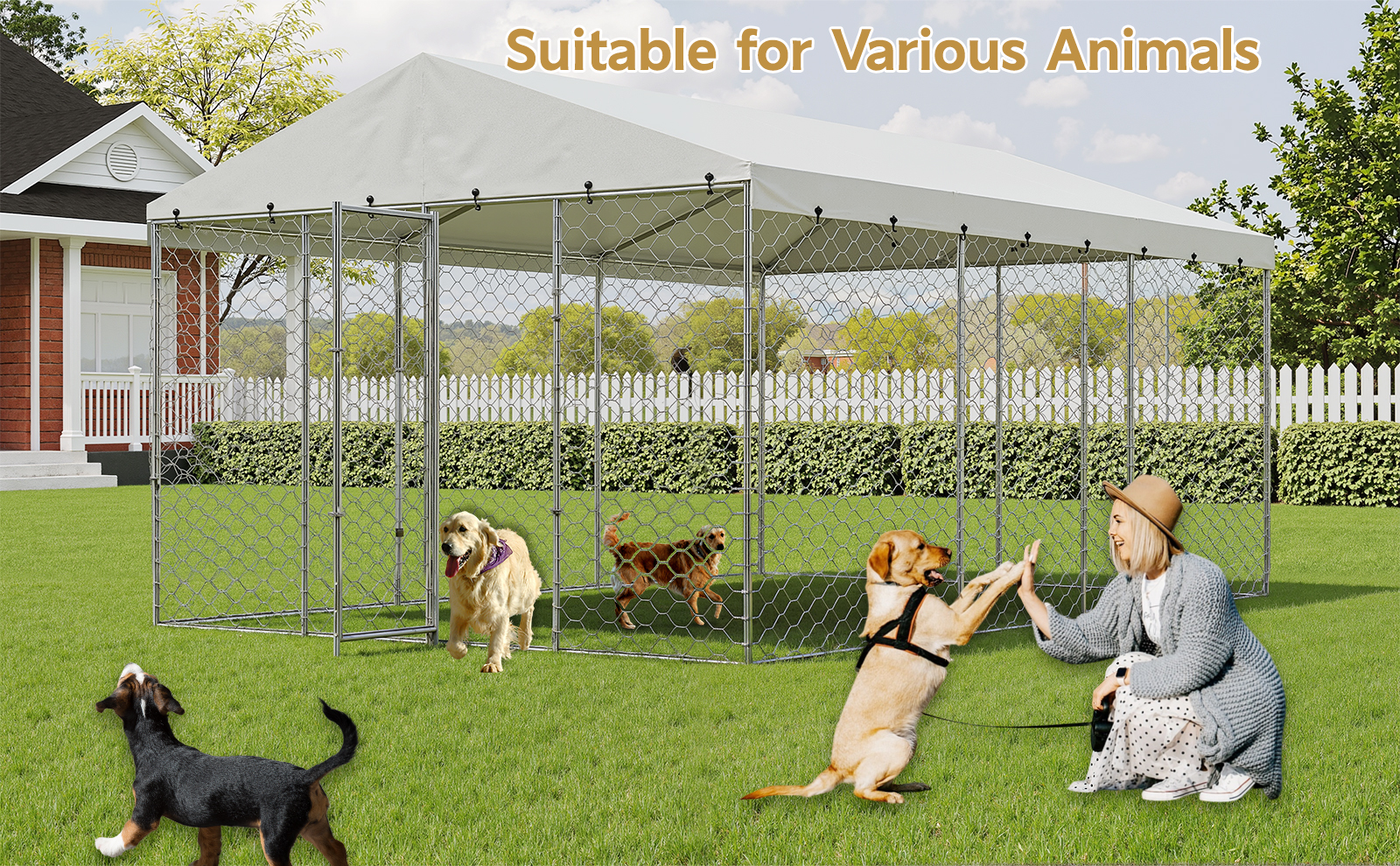 15x10 FT Large Outdoor Dog Kennel with Canopy